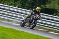 Advanced Group Multicolour Bikes